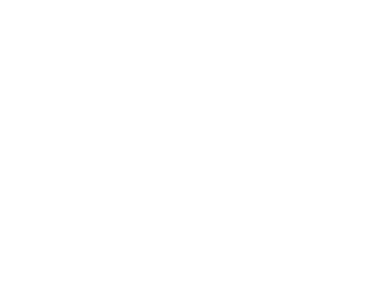 Excelsior Legal Advisors